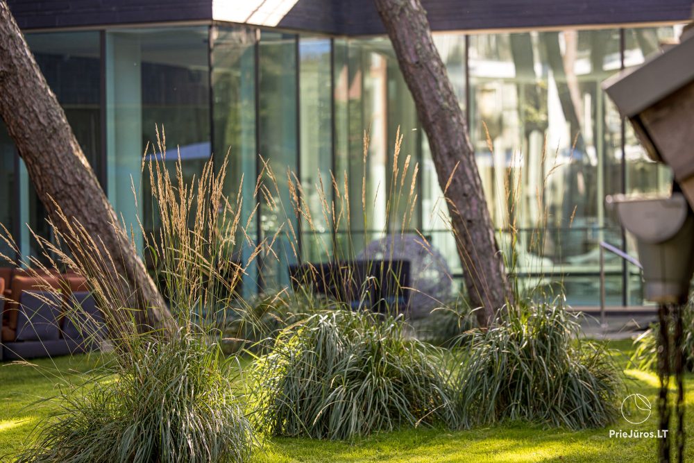 Romantische Angebote für zwei in Palanga, im Hotel „Palanga Life Balance SPA“ *****