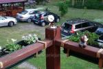 Sommercafé - 2