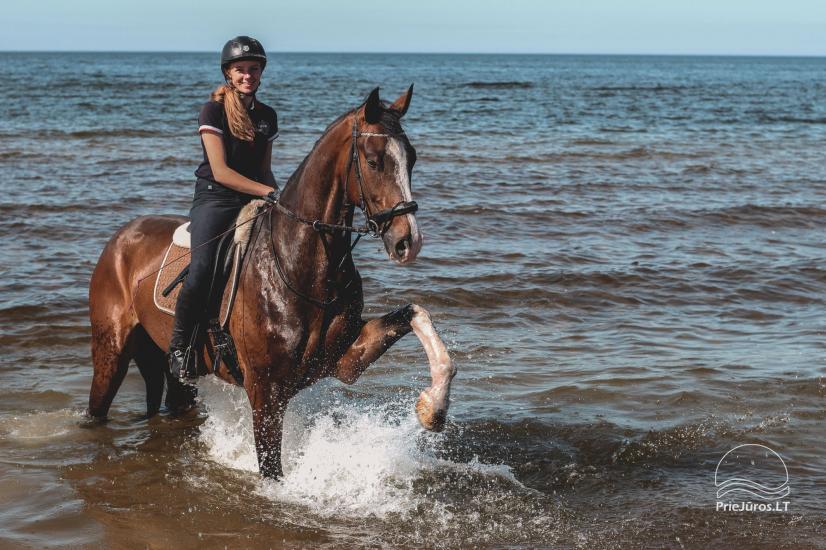 Spaß beim Reiten im Ferienpark - 1