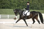 Pferdeaktivitäten bei Atostogų Parkas Horse & Rider Reitschule - 2