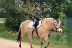 Pferdeaktivitäten bei Atostogų Parkas Horse & Rider Reitschule - 3