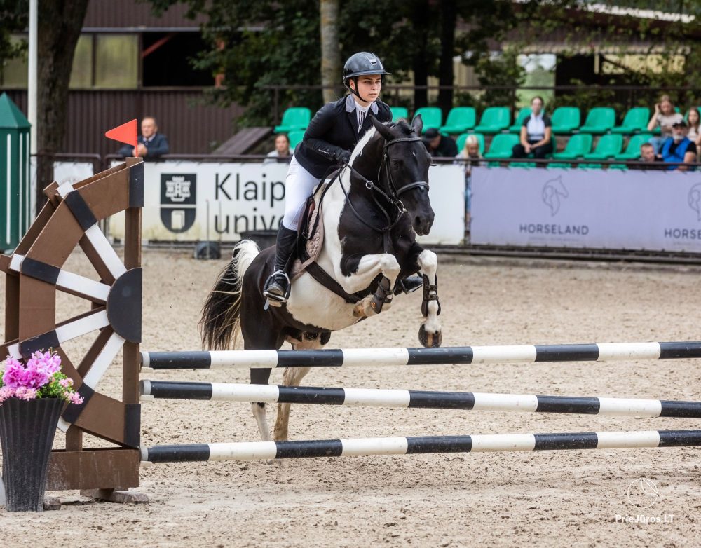 Pferdeaktivitäten bei Atostogų Parkas Horse & Rider Reitschule