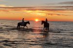 Pferdeaktivitäten bei Atostogų Parkas Horse & Rider Reitschule