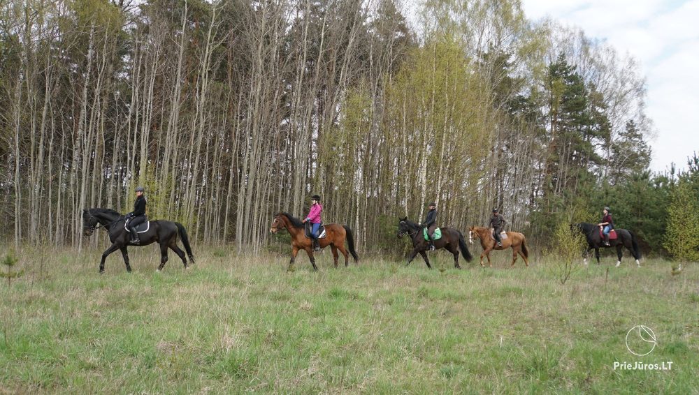 Pferdeaktivitäten bei Atostogų Parkas Horse & Rider Reitschule