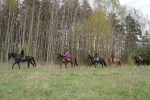 Pferdeaktivitäten bei Atostogų Parkas Horse & Rider Reitschule - 6