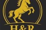 Pferdeaktivitäten bei Atostogų Parkas Horse & Rider Reitschule - 4