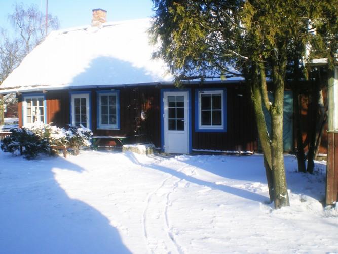 Silvester in Kurische Nehrung. Ferienwohnung Miete