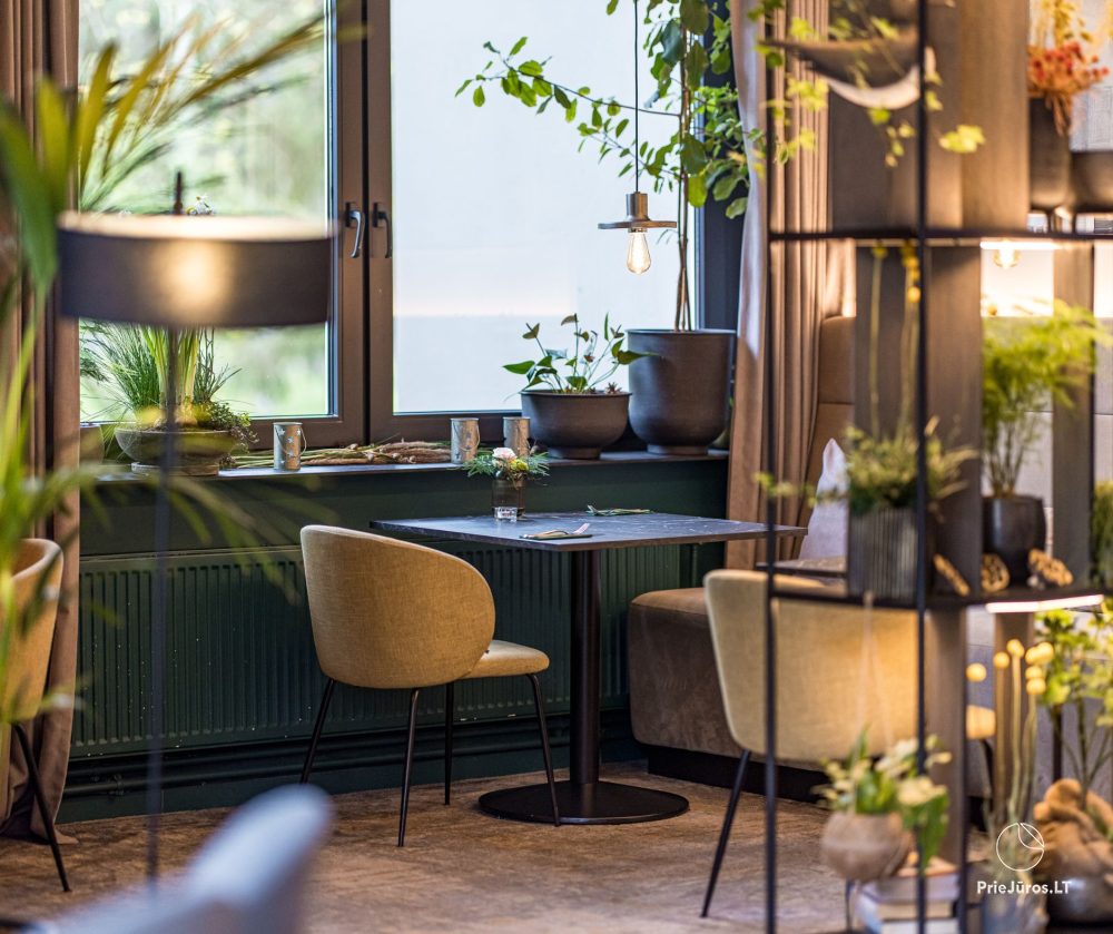 Restaurant „grás“ in Palanga - eine Umgebung von subtiler Eleganz und modernem Minimalismus für Ihre perfekte Zeit!