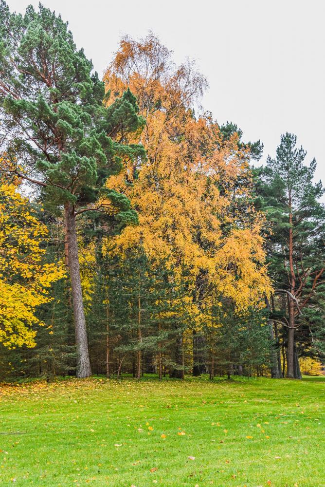 Botanischer Park Palanga