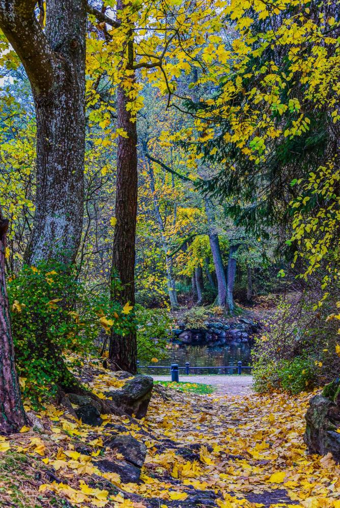 Botanischer Park Palanga