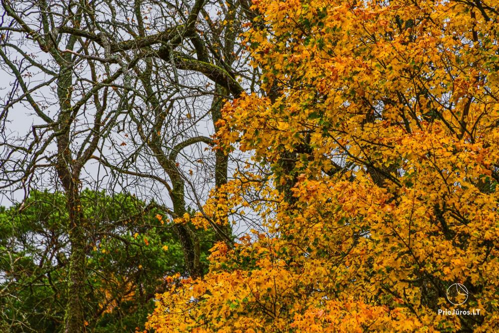Botanischer Park Palanga