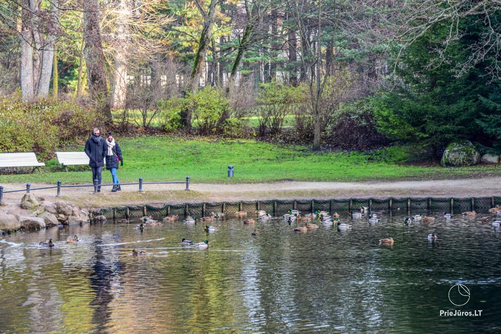 Botanischer Park Palanga