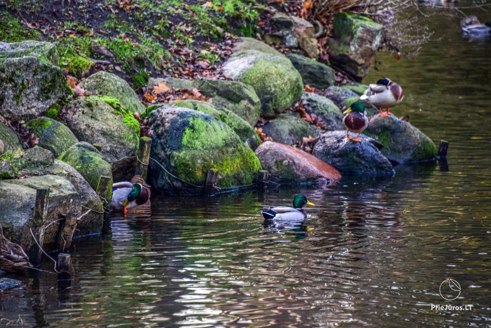 Botanischer Park Palanga