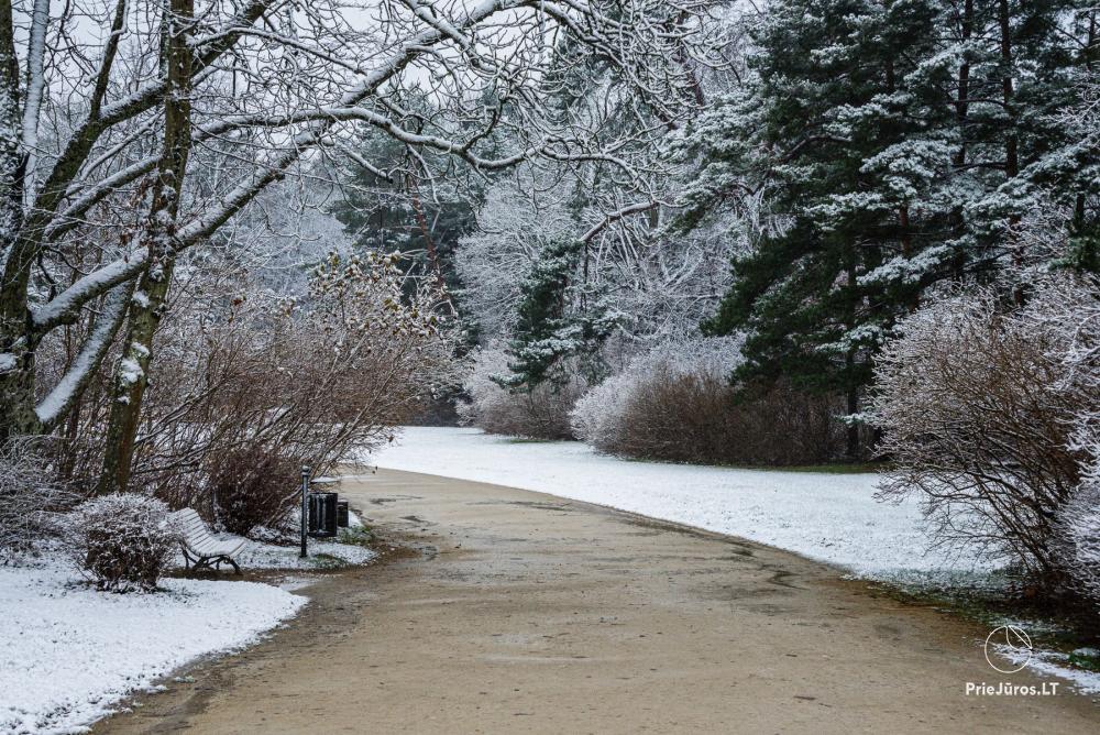 Botanischer Park Palanga
