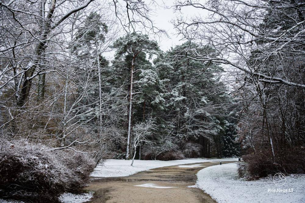 Botanischer Park Palanga