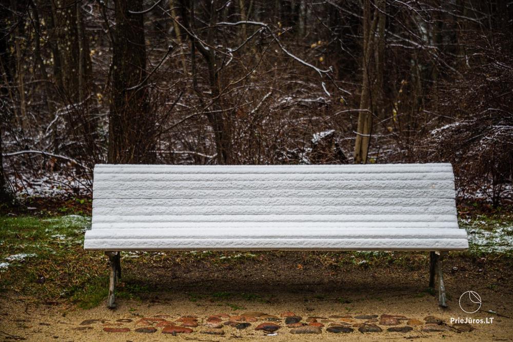 Botanischer Park Palanga