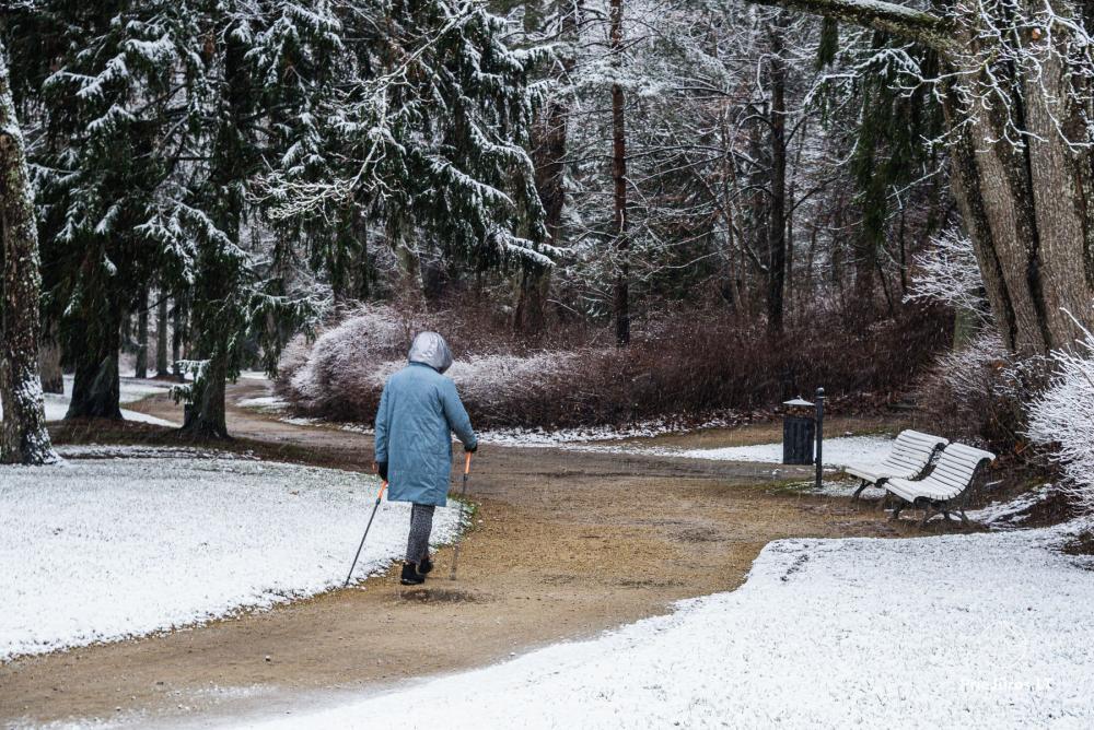 Botanischer Park Palanga