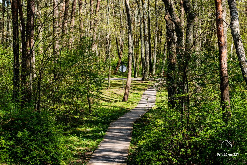 Botanischer Park Palanga