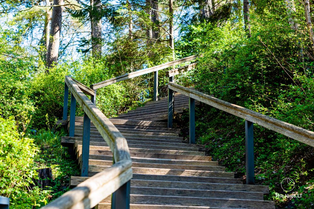 Botanischer Park Palanga