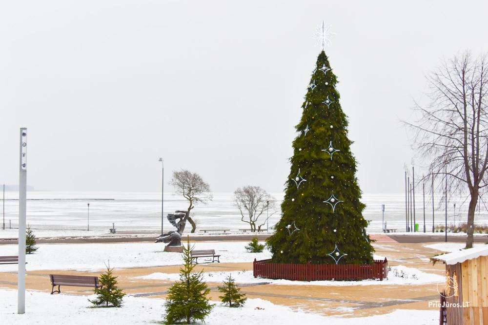 Weihnachtsbaumbeleuchtung in Nida am 11. Dezember 2026