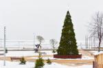 Anzünden des Weihnachtsbaums in Nida im Jahr 2023 - 3