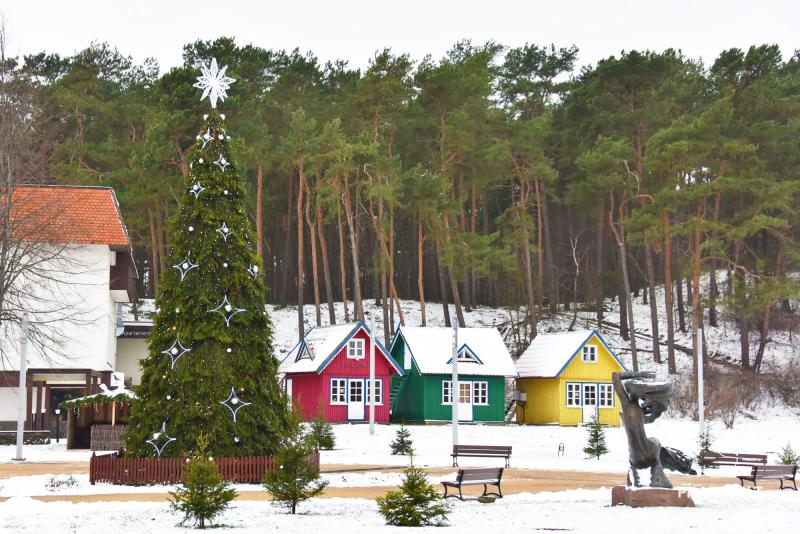 Anzünden des Weihnachtsbaums in Nida im Jahr 2025