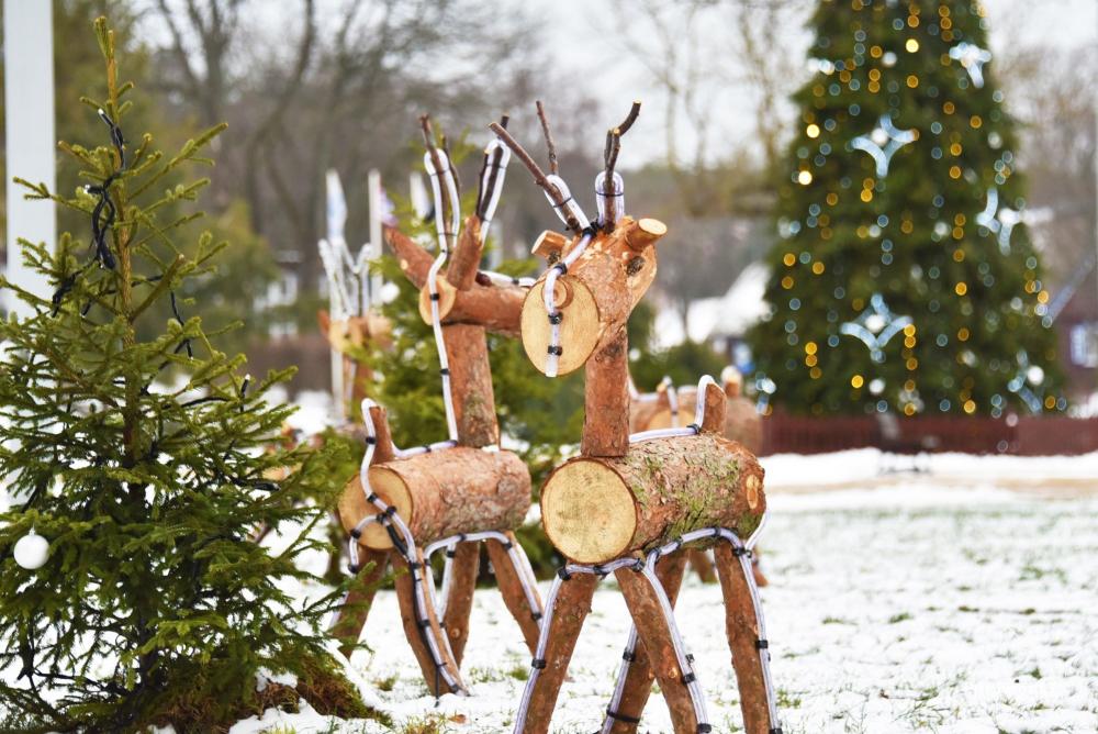 Weihnachtsbaumbeleuchtung in Nida am 11. Dezember 2026