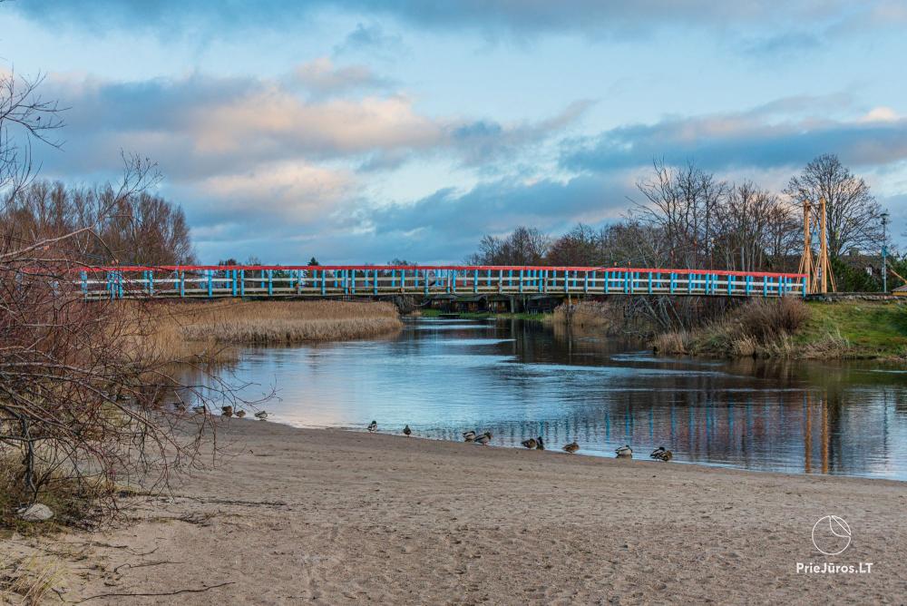 Affenbrücke in Sventoji