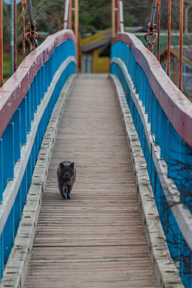 Affenbrücke in Sventoji