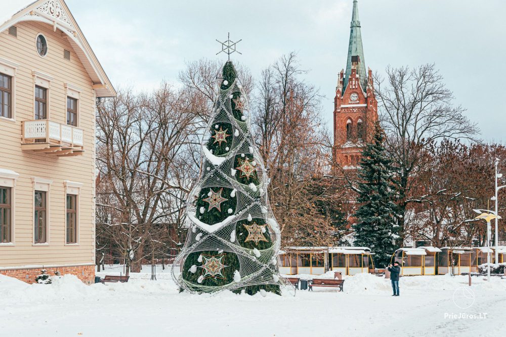Beleuchtung des Weihnachtsbaums in Palangos am 4. Dezember 2026