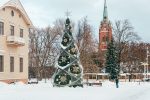 Beleuchtung des Weihnachtsbaums in Palangos am 4. Dezember 2026