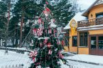 Beleuchtung des Weihnachtsbaums in Palangos am 4. Dezember 2026