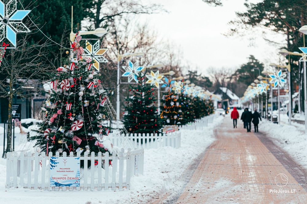 Beleuchtung des Weihnachtsbaums in Palangos am 4. Dezember 2026