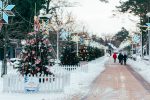Beleuchtung des Weihnachtsbaums in Palangos am 4. Dezember 2026