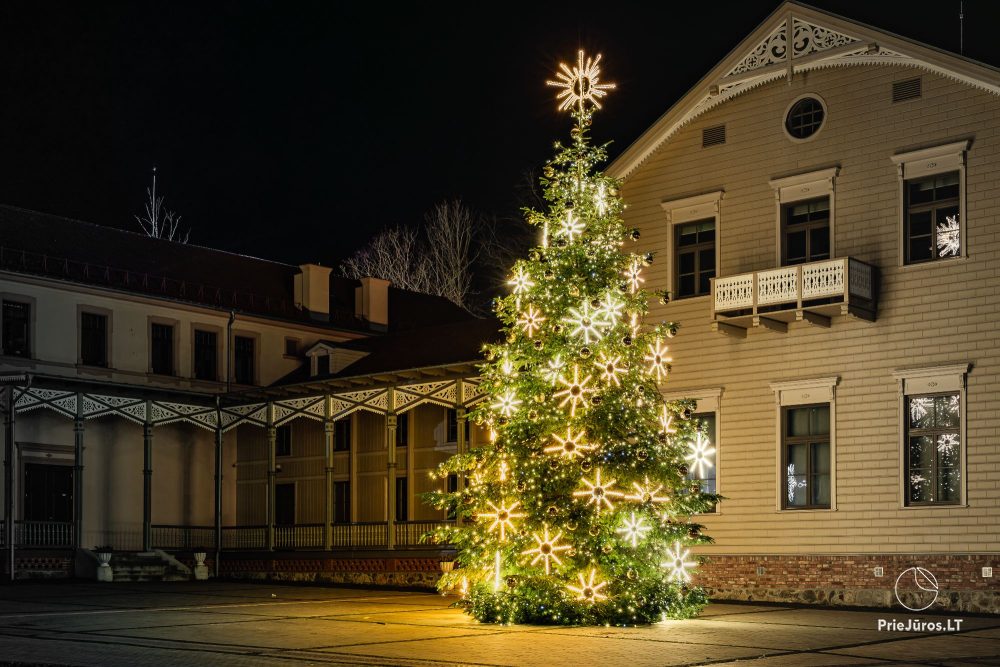 Beleuchtung des Weihnachtsbaums in Palangos am 4. Dezember 2026