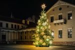 Beleuchtung des Weihnachtsbaums in Palangos am 4. Dezember 2026