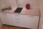 1-room apartment on the basement floor (30 sq.m. - 4 sleeping places) Taikos g. 28-9A, Nida