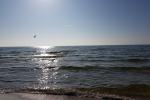 One room apartment for rent in Palanga, in Vanagupes street